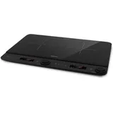 SALENTE InductPro2