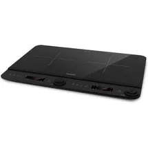 SALENTE InductPro2
