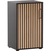 WELLTIME Hank Aktenschrank 50,95 x 41 x 83,6 cm schwarz