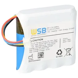LiFePo4 Akku 12,8V 1,8Ah mit BMS und JST-Stecker