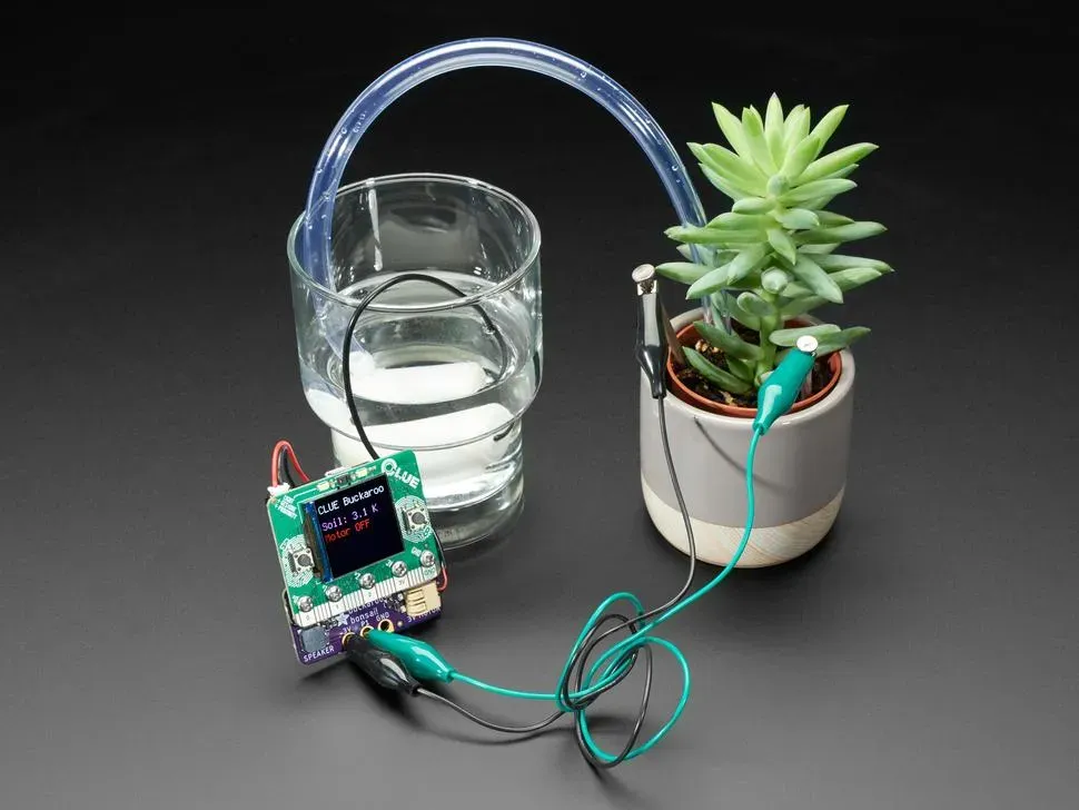Adafruit Bonsai Buckaroo - micro:bit & CLUE Plant Care Helfer, für automatische Bewässerung