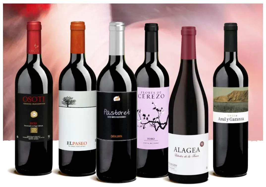 Probierpaket «Rotwein aus Spanien»
 Viva España – 6 Rotweine aus den schönsten Weinregionen, Bio Probierpakete