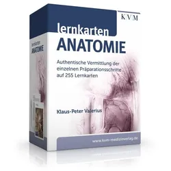 Lernkarten Anatomie