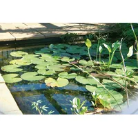 UBBINK Fertigteich Jupiter SI' 79 x 119 x 45 cm