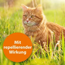 ARDAP Spot-On für Katzen bis 4 kg