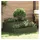 vidaXL Blumentopf 100 x 100 x 50 cm Olive Grün