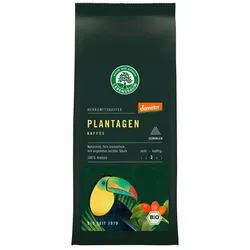 Plantagen Mexico Kaffee, gemahlen BIO