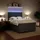 vidaXL Boxspringbett 140 x 200 cm Dunkelgrau