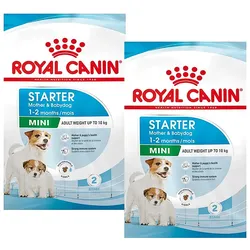 ROYAL CANIN SHN Mini Starter Mother & Babydog Trockenfutter, Poultry – 8 kg