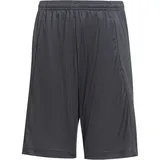 adidas Train Essentials Aeroready Regular-Fit Shorts Kinder AAGG - carbon/luclem 128