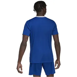 adidas Entrada 22 Trikot Herren -