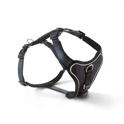Wolters Professional Geschirr