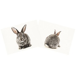 Canvas-Coupon "Hase", natur