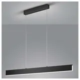 Helestra Nex Pendelleuchte, LED, 16/2007.22,