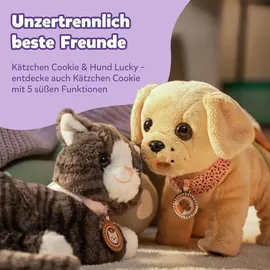 Zapf Creation Mein Hund Lucky mit Box 835869