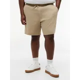 Tommy Hilfiger Big & Tall Shorts beige 44