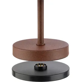 APS MERLE MICRO Braun