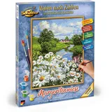 Schipper MNZ - Margeritenwiese