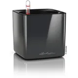 LECHUZA Cube Glossy 14 Komplettset 14 x 14 x 13,5 cm anthrazit highgloss