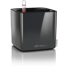 LECHUZA Cube Glossy 14 Komplettset 14 x 14 x 13,5 cm anthrazit highgloss