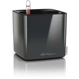 LECHUZA Cube Glossy 14 Komplettset 14 x 14 x 13,5 cm anthrazit highgloss