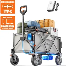 LiTHELi Bollerwagen 450 W W1 Pro inkl. Akku 4.0 Ah