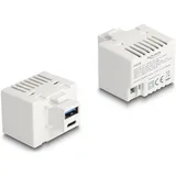 DeLock Keystone Lademodul USB Typ-A C PD 20 W weiß