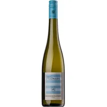 Weingut Wittmann 2023 Weißer Burgunder trocken