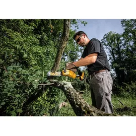 DeWalt DCMPS520N / 20 cm