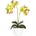 Creativ green Kunstpflanze Phalaenopsis Orchidee, Creativ green, Höhe 50 cm grün