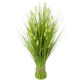 I.GE.A. Kunstpflanze Borstenhirse, Höhe 60 cm