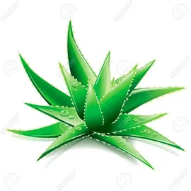Jekatex Aloe Vera Matratzenauflage 100 x 200 cm weiß