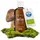 BEAUVITAL Bio Shiitake Extrakt flüssig 100 ml