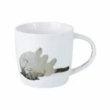 Maxwell & Williams DX1225 Kaffee-Tasse 400 ml – Serie Feline Friends – Porzellan, Katze auf Rücken bunt – in Geschenkbox