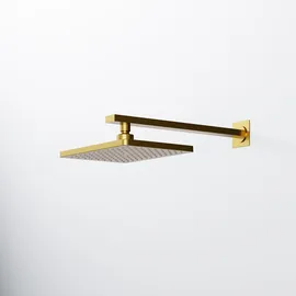 Steinberg Serie 342 Regenbrause, 186x258mm, 3421686BG, Farbe: Brushed Gold