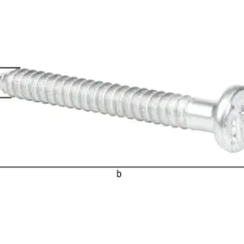 GAH Alberts Ankernagel verzinkt 4 x 40 mm 250 Stück