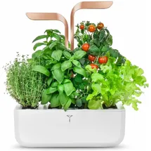 Veritable Véritable SMART Ø 38 x 16,7 cm Weiß