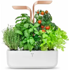 Veritable Véritable SMART Ø 38 x 16,7 cm Weiß