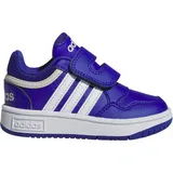 Adidas Hoops Sneaker IH7901 - RoyBlu/RoyBlu/FtwWht