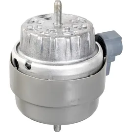 FEBI Lagerung, Motor