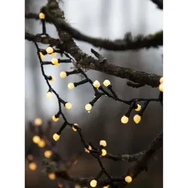 Star Trading LED-Lichterkette Berry Mini 6 m Schwarz Warmweiß