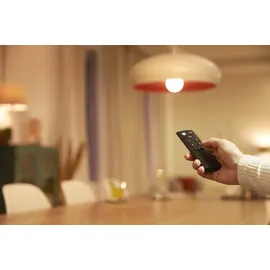 WIZ Fernbedienung inkl. Batterien