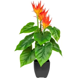 CREATIV green Künstliche Pflanze Guzmania 58cm im Topf