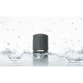 Sony SRS-XB100 schwarz