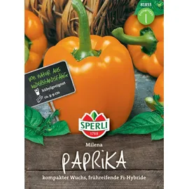 Sperli Paprika Milena F1 Gelb-Orange | Paprikasamen von Sperli-Samen