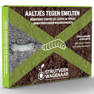 Strijtveen & Wagenaar – SC-Nematoden gegen Larven der Wiesenschnake – 5 Mio. für 10 m2 – Natürliche Bekämpfung von Schnakenlarven im Boden – Für einen gesunden Rasen ohne Chemie