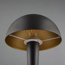Trio Canaria Schwarz-Gold