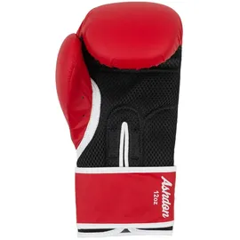 Lonsdale Boxhandschuhe aus Kunstleder Ashdon