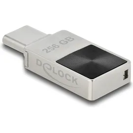 DeLock 54009 USB-Stick 256GB
