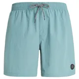 Protest Badeshorts Faster Arctic Green L